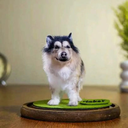 Custom needle felted Alaskan Malamute dog front
